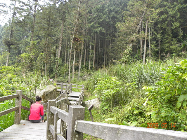 2009.5.14奮起湖緩慢之旅,vol.8,倫敦,南側森林步道,南部,國內旅遊,土耳其,大阪,宜蘭,居酒屋,捷克,旅遊,早午餐,板橋,法國,美食,自由行 @跟著Julie一起走吧 2009.5.14奮起湖緩慢之旅,vol.8,倫敦,南側森林步道,南部,國內旅遊,土耳其,大阪,宜蘭,居酒屋,捷克,旅遊,早午餐,板橋,法國,美食,自由行 @跟著Julie一起走吧