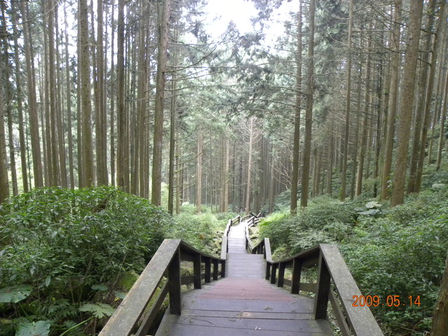 2009.5.14奮起湖緩慢之旅,vol.8,倫敦,南側森林步道,南部,國內旅遊,土耳其,大阪,宜蘭,居酒屋,捷克,旅遊,早午餐,板橋,法國,美食,自由行 @跟著Julie一起走吧 2009.5.14奮起湖緩慢之旅,vol.8,倫敦,南側森林步道,南部,國內旅遊,土耳其,大阪,宜蘭,居酒屋,捷克,旅遊,早午餐,板橋,法國,美食,自由行 @跟著Julie一起走吧