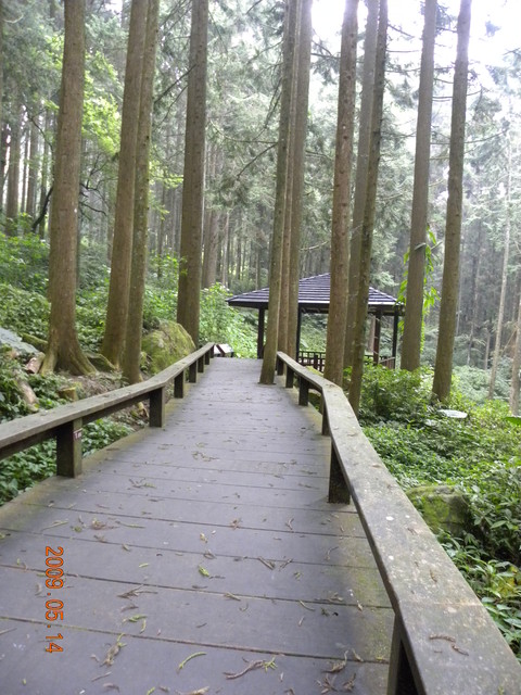 2009.5.14奮起湖緩慢之旅,vol.8,倫敦,南側森林步道,南部,國內旅遊,土耳其,大阪,宜蘭,居酒屋,捷克,旅遊,早午餐,板橋,法國,美食,自由行 @跟著Julie一起走吧 2009.5.14奮起湖緩慢之旅,vol.8,倫敦,南側森林步道,南部,國內旅遊,土耳其,大阪,宜蘭,居酒屋,捷克,旅遊,早午餐,板橋,法國,美食,自由行 @跟著Julie一起走吧