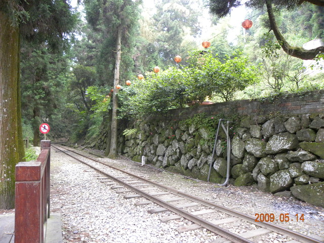 2009.5.14奮起湖緩慢之旅,vol.8,倫敦,南側森林步道,南部,國內旅遊,土耳其,大阪,宜蘭,居酒屋,捷克,旅遊,早午餐,板橋,法國,美食,自由行 @跟著Julie一起走吧 2009.5.14奮起湖緩慢之旅,vol.8,倫敦,南側森林步道,南部,國內旅遊,土耳其,大阪,宜蘭,居酒屋,捷克,旅遊,早午餐,板橋,法國,美食,自由行 @跟著Julie一起走吧