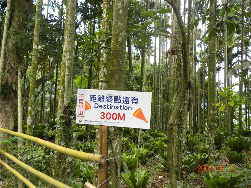 .小火車篇,2009.5.13奮起湖緩慢之旅,倫敦,南部,國內旅遊,土耳其,大阪,宜蘭,居酒屋,捷克,旅遊,早午餐,板橋,法國,美食,自由行 @跟著Julie一起走吧 .小火車篇,2009.5.13奮起湖緩慢之旅,倫敦,南部,國內旅遊,土耳其,大阪,宜蘭,居酒屋,捷克,旅遊,早午餐,板橋,法國,美食,自由行 @跟著Julie一起走吧