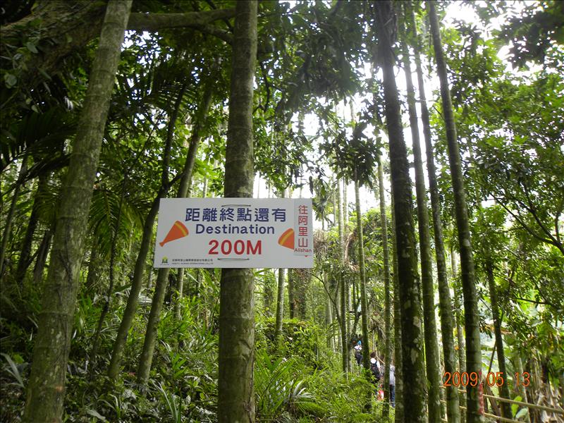 .小火車篇,2009.5.13奮起湖緩慢之旅,倫敦,南部,國內旅遊,土耳其,大阪,宜蘭,居酒屋,捷克,旅遊,早午餐,板橋,法國,美食,自由行 @跟著Julie一起走吧 .小火車篇,2009.5.13奮起湖緩慢之旅,倫敦,南部,國內旅遊,土耳其,大阪,宜蘭,居酒屋,捷克,旅遊,早午餐,板橋,法國,美食,自由行 @跟著Julie一起走吧