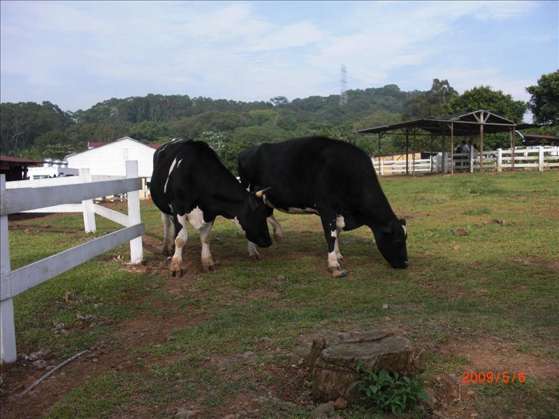 倫敦,北部,國內旅遊,土耳其,大溪花海農場,大阪,宜蘭,居酒屋,捷克,旅遊,早午餐,板橋,法國,美食,自由行 @跟著Julie一起走吧 倫敦,北部,國內旅遊,土耳其,大溪花海農場,大阪,宜蘭,居酒屋,捷克,旅遊,早午餐,板橋,法國,美食,自由行 @跟著Julie一起走吧