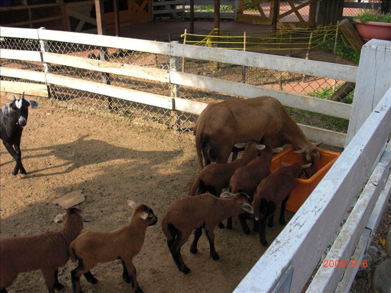 倫敦,北部,國內旅遊,土耳其,大溪花海農場,大阪,宜蘭,居酒屋,捷克,旅遊,早午餐,板橋,法國,美食,自由行 @跟著Julie一起走吧 倫敦,北部,國內旅遊,土耳其,大溪花海農場,大阪,宜蘭,居酒屋,捷克,旅遊,早午餐,板橋,法國,美食,自由行 @跟著Julie一起走吧