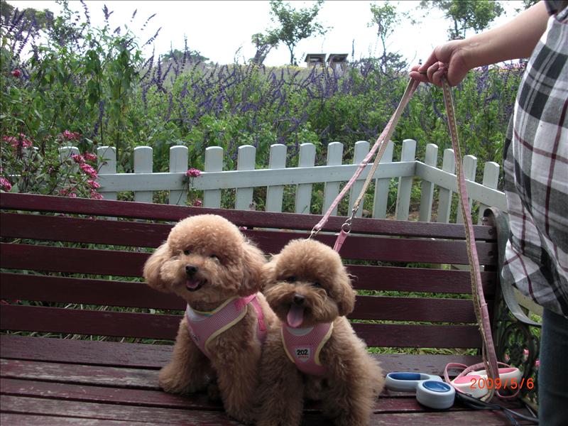 倫敦,北部,國內旅遊,土耳其,大溪花海農場,大阪,宜蘭,居酒屋,捷克,旅遊,早午餐,板橋,法國,美食,自由行 @跟著Julie一起走吧 倫敦,北部,國內旅遊,土耳其,大溪花海農場,大阪,宜蘭,居酒屋,捷克,旅遊,早午餐,板橋,法國,美食,自由行 @跟著Julie一起走吧