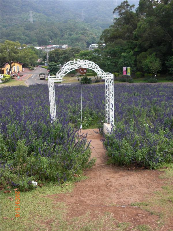 倫敦,北部,國內旅遊,土耳其,大溪花海農場,大阪,宜蘭,居酒屋,捷克,旅遊,早午餐,板橋,法國,美食,自由行 @跟著Julie一起走吧 倫敦,北部,國內旅遊,土耳其,大溪花海農場,大阪,宜蘭,居酒屋,捷克,旅遊,早午餐,板橋,法國,美食,自由行 @跟著Julie一起走吧