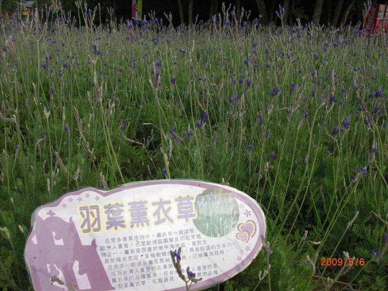 倫敦,北部,國內旅遊,土耳其,大溪花海農場,大阪,宜蘭,居酒屋,捷克,旅遊,早午餐,板橋,法國,美食,自由行 @跟著Julie一起走吧 倫敦,北部,國內旅遊,土耳其,大溪花海農場,大阪,宜蘭,居酒屋,捷克,旅遊,早午餐,板橋,法國,美食,自由行 @跟著Julie一起走吧