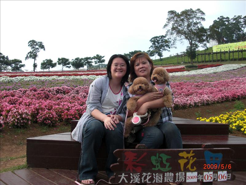 倫敦,北部,國內旅遊,土耳其,大溪花海農場,大阪,宜蘭,居酒屋,捷克,旅遊,早午餐,板橋,法國,美食,自由行 @跟著Julie一起走吧 倫敦,北部,國內旅遊,土耳其,大溪花海農場,大阪,宜蘭,居酒屋,捷克,旅遊,早午餐,板橋,法國,美食,自由行 @跟著Julie一起走吧