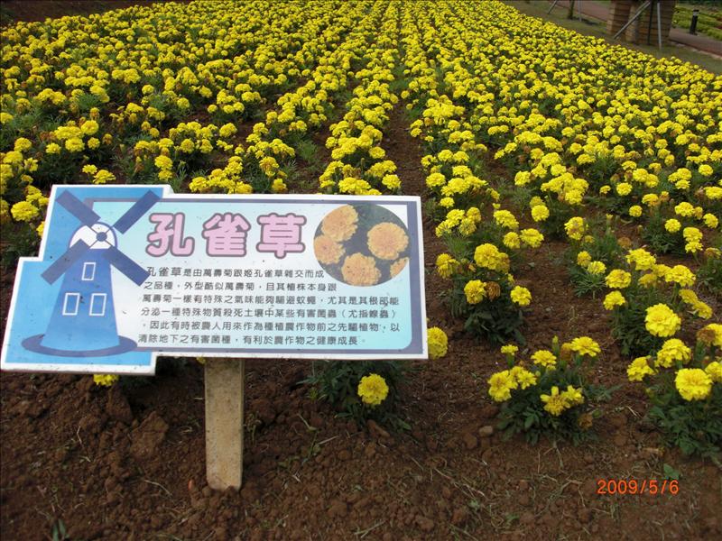 倫敦,北部,國內旅遊,土耳其,大溪花海農場,大阪,宜蘭,居酒屋,捷克,旅遊,早午餐,板橋,法國,美食,自由行 @跟著Julie一起走吧 倫敦,北部,國內旅遊,土耳其,大溪花海農場,大阪,宜蘭,居酒屋,捷克,旅遊,早午餐,板橋,法國,美食,自由行 @跟著Julie一起走吧