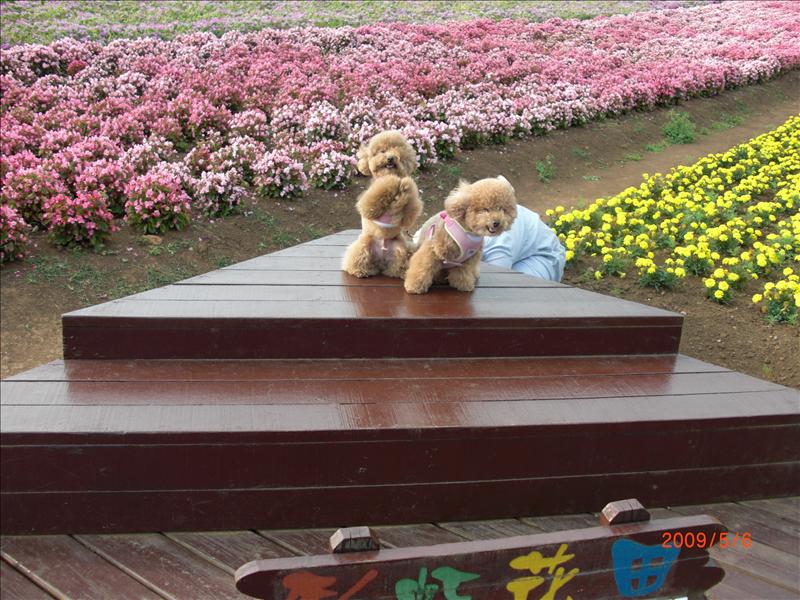 倫敦,北部,國內旅遊,土耳其,大溪花海農場,大阪,宜蘭,居酒屋,捷克,旅遊,早午餐,板橋,法國,美食,自由行 @跟著Julie一起走吧 倫敦,北部,國內旅遊,土耳其,大溪花海農場,大阪,宜蘭,居酒屋,捷克,旅遊,早午餐,板橋,法國,美食,自由行 @跟著Julie一起走吧