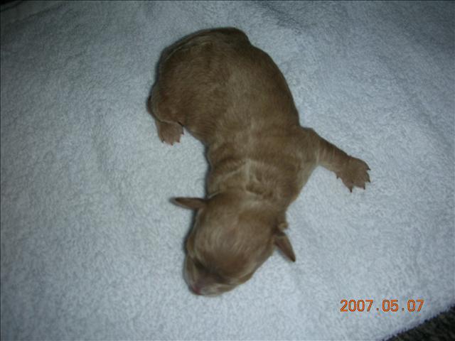 Birthday,Happy,倫敦,土耳其,大阪,宜蘭,寵物日記,寶寶,居酒屋,捷克,旅遊,早午餐,板橋,法國,美食,自由行,蘇小寶^^ @跟著Julie一起走吧 Birthday,Happy,倫敦,土耳其,大阪,宜蘭,寵物日記,寶寶,居酒屋,捷克,旅遊,早午餐,板橋,法國,美食,自由行,蘇小寶^^ @跟著Julie一起走吧