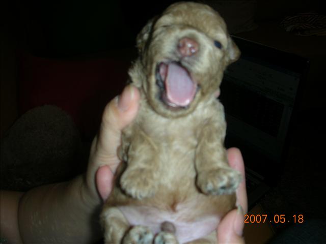 Birthday,Happy,倫敦,土耳其,大阪,宜蘭,寵物日記,寶寶,居酒屋,捷克,旅遊,早午餐,板橋,法國,美食,自由行,蘇小寶^^ @跟著Julie一起走吧 Birthday,Happy,倫敦,土耳其,大阪,宜蘭,寵物日記,寶寶,居酒屋,捷克,旅遊,早午餐,板橋,法國,美食,自由行,蘇小寶^^ @跟著Julie一起走吧