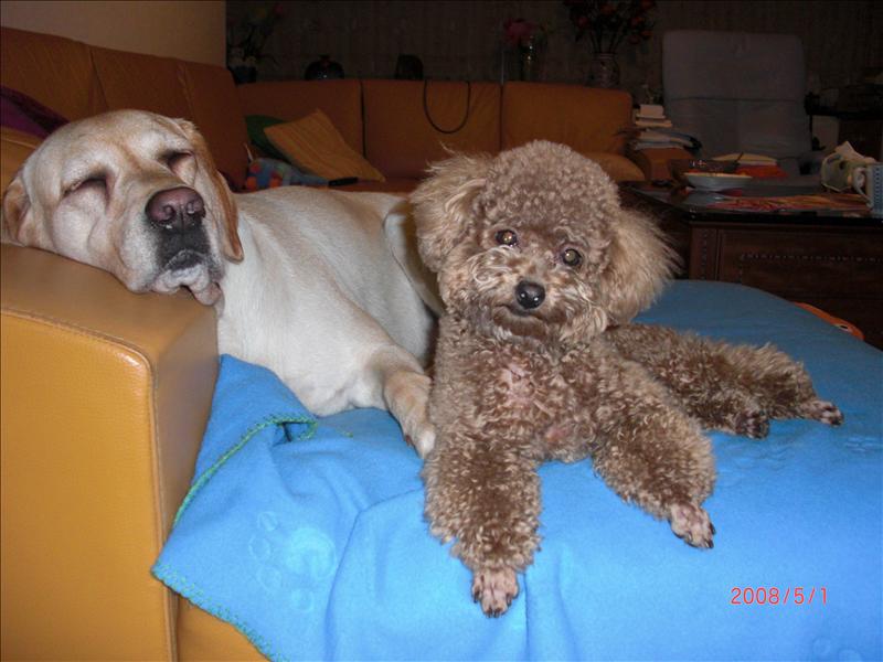 Birthday,Happy,倫敦,土耳其,大阪,宜蘭,寵物日記,寶寶,居酒屋,捷克,旅遊,早午餐,板橋,法國,美食,自由行,蘇小寶^^ @跟著Julie一起走吧 Birthday,Happy,倫敦,土耳其,大阪,宜蘭,寵物日記,寶寶,居酒屋,捷克,旅遊,早午餐,板橋,法國,美食,自由行,蘇小寶^^ @跟著Julie一起走吧