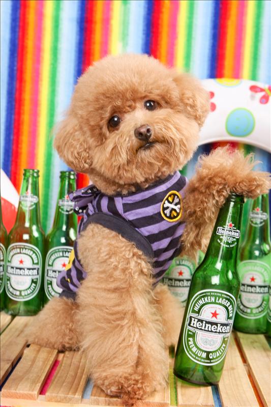 Birthday,Happy,倫敦,土耳其,大阪,宜蘭,寵物日記,寶寶,居酒屋,捷克,旅遊,早午餐,板橋,法國,美食,自由行,蘇小寶^^ @跟著Julie一起走吧 Birthday,Happy,倫敦,土耳其,大阪,宜蘭,寵物日記,寶寶,居酒屋,捷克,旅遊,早午餐,板橋,法國,美食,自由行,蘇小寶^^ @跟著Julie一起走吧