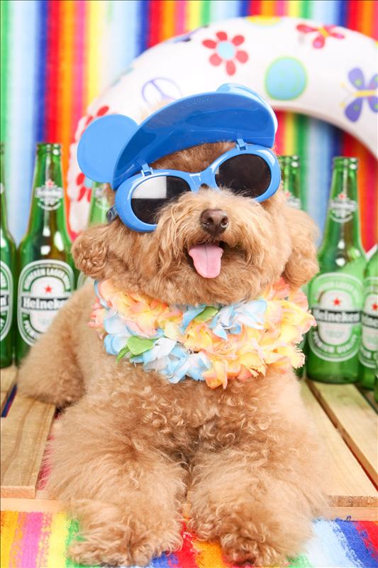 Birthday,Happy,倫敦,土耳其,大阪,宜蘭,寵物日記,寶寶,居酒屋,捷克,旅遊,早午餐,板橋,法國,美食,自由行,蘇小寶^^ @跟著Julie一起走吧 Birthday,Happy,倫敦,土耳其,大阪,宜蘭,寵物日記,寶寶,居酒屋,捷克,旅遊,早午餐,板橋,法國,美食,自由行,蘇小寶^^ @跟著Julie一起走吧