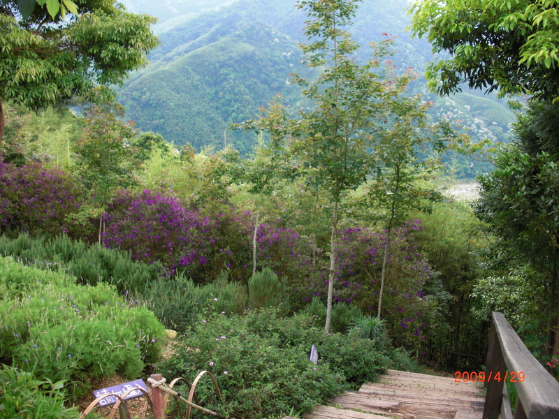 中部,倫敦,土耳其,大阪,宜蘭,尖石店,居酒屋,捷克,旅遊,早午餐,板橋,法國,美味食記,美食,自由行,薰衣草森林 @跟著Julie一起走吧 中部,倫敦,土耳其,大阪,宜蘭,尖石店,居酒屋,捷克,旅遊,早午餐,板橋,法國,美味食記,美食,自由行,薰衣草森林 @跟著Julie一起走吧