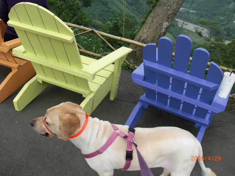 中部,倫敦,土耳其,大阪,宜蘭,尖石店,居酒屋,捷克,旅遊,早午餐,板橋,法國,美味食記,美食,自由行,薰衣草森林 @跟著Julie一起走吧 中部,倫敦,土耳其,大阪,宜蘭,尖石店,居酒屋,捷克,旅遊,早午餐,板橋,法國,美味食記,美食,自由行,薰衣草森林 @跟著Julie一起走吧