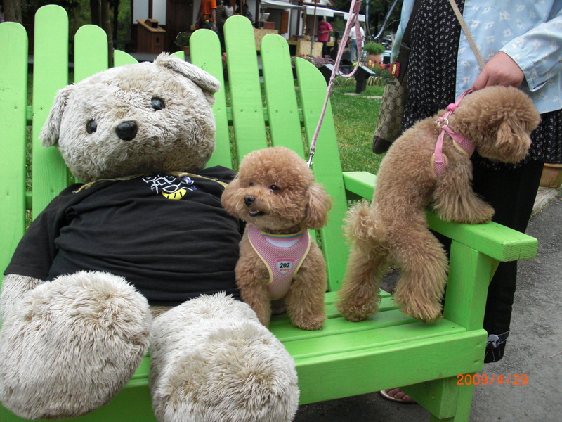 中部,倫敦,土耳其,大阪,宜蘭,尖石店,居酒屋,捷克,旅遊,早午餐,板橋,法國,美味食記,美食,自由行,薰衣草森林 @跟著Julie一起走吧 中部,倫敦,土耳其,大阪,宜蘭,尖石店,居酒屋,捷克,旅遊,早午餐,板橋,法國,美味食記,美食,自由行,薰衣草森林 @跟著Julie一起走吧