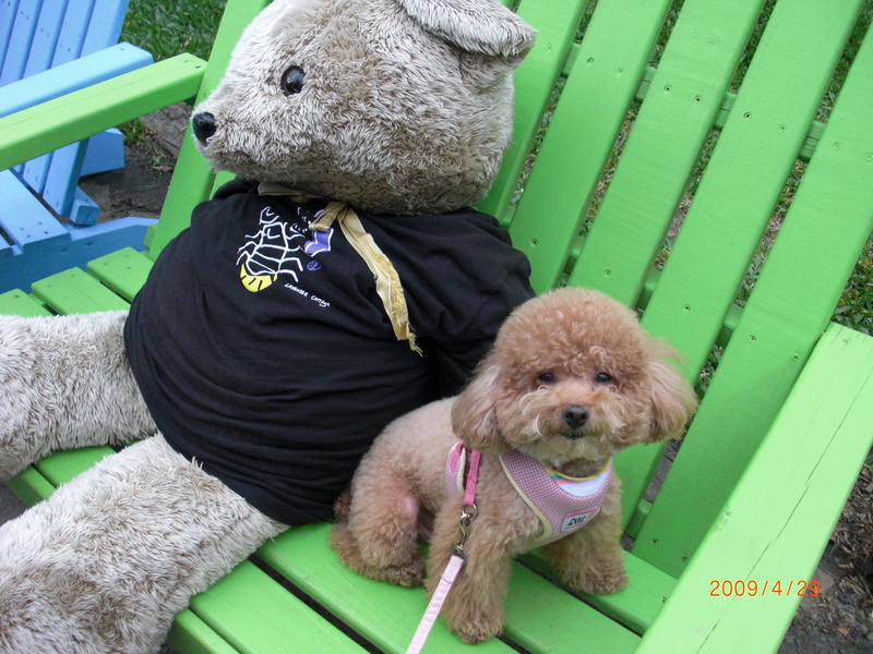 中部,倫敦,土耳其,大阪,宜蘭,尖石店,居酒屋,捷克,旅遊,早午餐,板橋,法國,美味食記,美食,自由行,薰衣草森林 @跟著Julie一起走吧 中部,倫敦,土耳其,大阪,宜蘭,尖石店,居酒屋,捷克,旅遊,早午餐,板橋,法國,美味食記,美食,自由行,薰衣草森林 @跟著Julie一起走吧