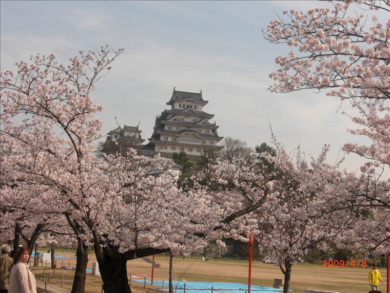2009.04千年古都賞櫻,2009千年古都賞櫻,DAY5,倫敦,國外旅遊,土耳其,大阪,姬路城,宜蘭,居酒屋,捷克,旅遊,早午餐,板橋,法國,美食,自由行 @跟著Julie一起走吧 2009.04千年古都賞櫻,2009千年古都賞櫻,DAY5,倫敦,國外旅遊,土耳其,大阪,姬路城,宜蘭,居酒屋,捷克,旅遊,早午餐,板橋,法國,美食,自由行 @跟著Julie一起走吧