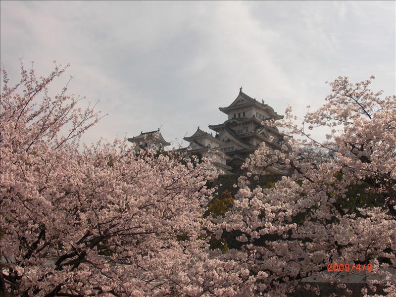 2009.04千年古都賞櫻,2009千年古都賞櫻,DAY5,倫敦,國外旅遊,土耳其,大阪,姬路城,宜蘭,居酒屋,捷克,旅遊,早午餐,板橋,法國,美食,自由行 @跟著Julie一起走吧 2009.04千年古都賞櫻,2009千年古都賞櫻,DAY5,倫敦,國外旅遊,土耳其,大阪,姬路城,宜蘭,居酒屋,捷克,旅遊,早午餐,板橋,法國,美食,自由行 @跟著Julie一起走吧