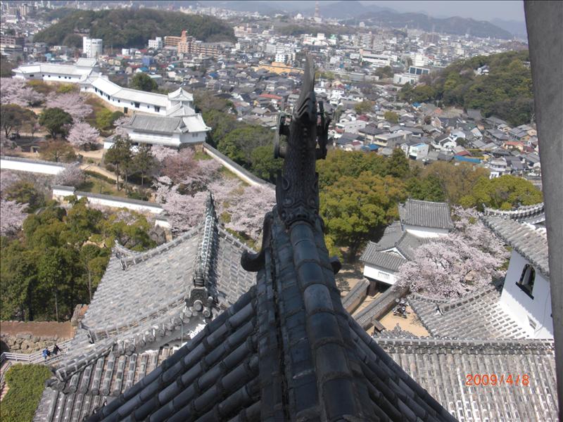 2009.04千年古都賞櫻,2009千年古都賞櫻,DAY5,倫敦,國外旅遊,土耳其,大阪,姬路城,宜蘭,居酒屋,捷克,旅遊,早午餐,板橋,法國,美食,自由行 @跟著Julie一起走吧 2009.04千年古都賞櫻,2009千年古都賞櫻,DAY5,倫敦,國外旅遊,土耳其,大阪,姬路城,宜蘭,居酒屋,捷克,旅遊,早午餐,板橋,法國,美食,自由行 @跟著Julie一起走吧