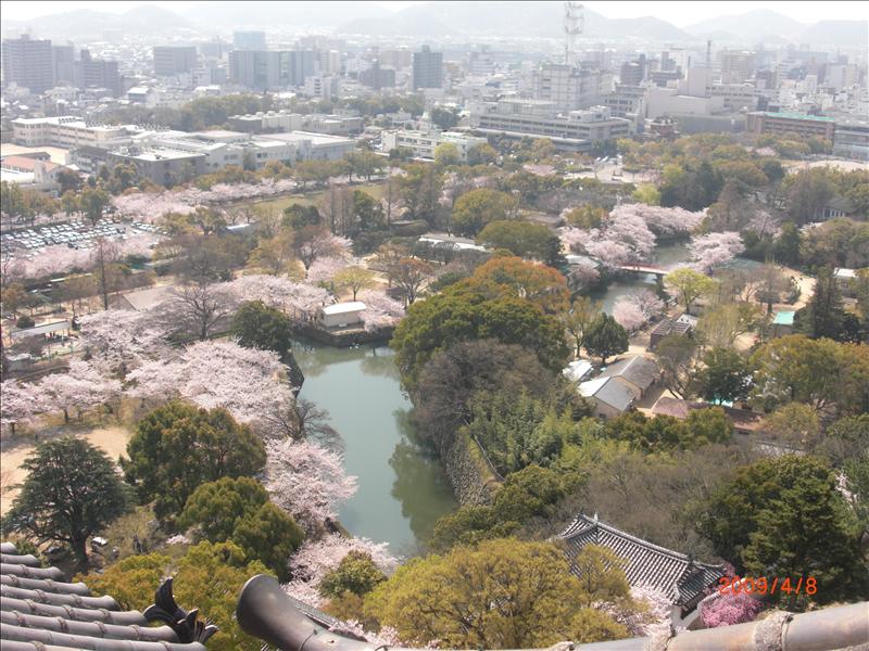 2009.04千年古都賞櫻,2009千年古都賞櫻,DAY5,倫敦,國外旅遊,土耳其,大阪,姬路城,宜蘭,居酒屋,捷克,旅遊,早午餐,板橋,法國,美食,自由行 @跟著Julie一起走吧 2009.04千年古都賞櫻,2009千年古都賞櫻,DAY5,倫敦,國外旅遊,土耳其,大阪,姬路城,宜蘭,居酒屋,捷克,旅遊,早午餐,板橋,法國,美食,自由行 @跟著Julie一起走吧