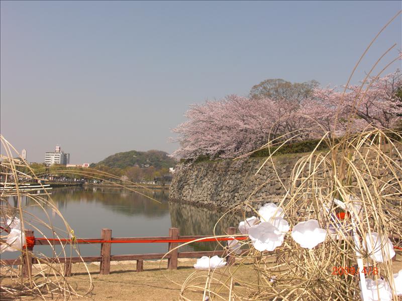 2009.04千年古都賞櫻,2009千年古都賞櫻,DAY5,倫敦,國外旅遊,土耳其,大阪,姬路城,宜蘭,居酒屋,捷克,旅遊,早午餐,板橋,法國,美食,自由行 @跟著Julie一起走吧 2009.04千年古都賞櫻,2009千年古都賞櫻,DAY5,倫敦,國外旅遊,土耳其,大阪,姬路城,宜蘭,居酒屋,捷克,旅遊,早午餐,板橋,法國,美食,自由行 @跟著Julie一起走吧
