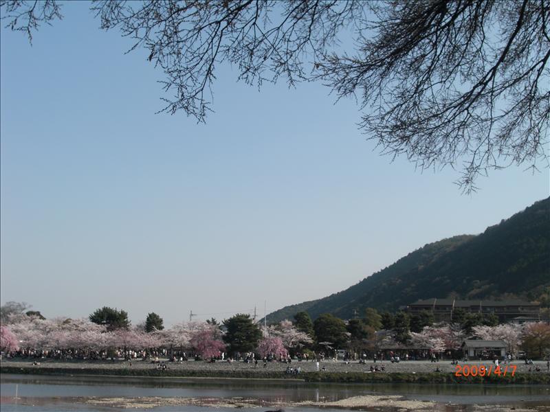 2009.04千年古都賞櫻,2009千年古都賞櫻,DAY4京都嵐山渡月橋,倫敦,國外旅遊,土耳其,大阪,天龍寺庭苑,宜蘭,居酒屋,捷克,旅遊,早午餐,板橋,法國,美食,自由行 @跟著Julie一起走吧 2009.04千年古都賞櫻,2009千年古都賞櫻,DAY4京都嵐山渡月橋,倫敦,國外旅遊,土耳其,大阪,天龍寺庭苑,宜蘭,居酒屋,捷克,旅遊,早午餐,板橋,法國,美食,自由行 @跟著Julie一起走吧