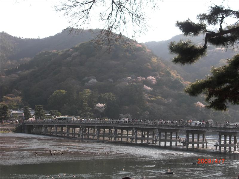 2009.04千年古都賞櫻,2009千年古都賞櫻,DAY4京都嵐山渡月橋,倫敦,國外旅遊,土耳其,大阪,天龍寺庭苑,宜蘭,居酒屋,捷克,旅遊,早午餐,板橋,法國,美食,自由行 @跟著Julie一起走吧 2009.04千年古都賞櫻,2009千年古都賞櫻,DAY4京都嵐山渡月橋,倫敦,國外旅遊,土耳其,大阪,天龍寺庭苑,宜蘭,居酒屋,捷克,旅遊,早午餐,板橋,法國,美食,自由行 @跟著Julie一起走吧