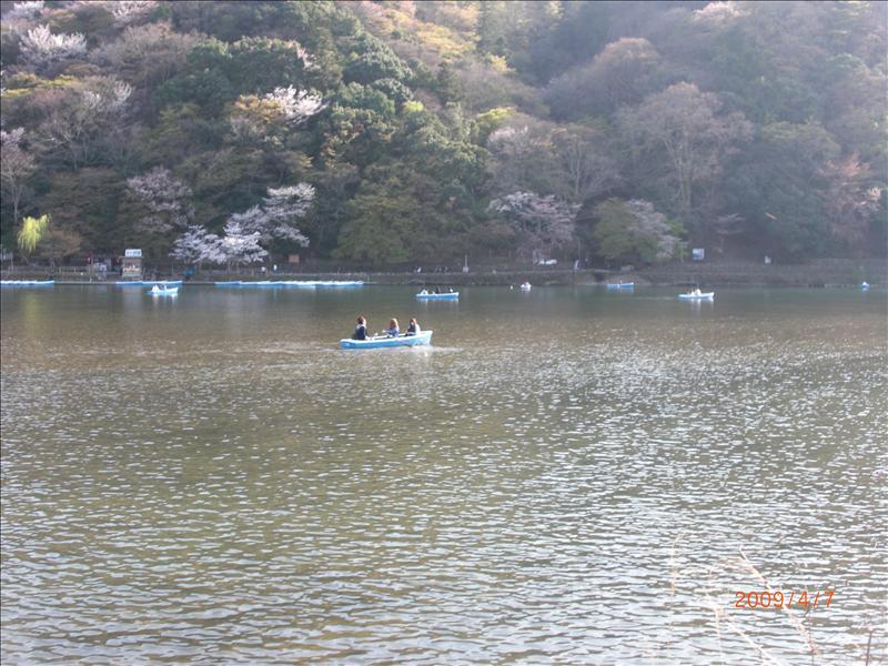 2009.04千年古都賞櫻,2009千年古都賞櫻,DAY4京都嵐山渡月橋,倫敦,國外旅遊,土耳其,大阪,天龍寺庭苑,宜蘭,居酒屋,捷克,旅遊,早午餐,板橋,法國,美食,自由行 @跟著Julie一起走吧 2009.04千年古都賞櫻,2009千年古都賞櫻,DAY4京都嵐山渡月橋,倫敦,國外旅遊,土耳其,大阪,天龍寺庭苑,宜蘭,居酒屋,捷克,旅遊,早午餐,板橋,法國,美食,自由行 @跟著Julie一起走吧