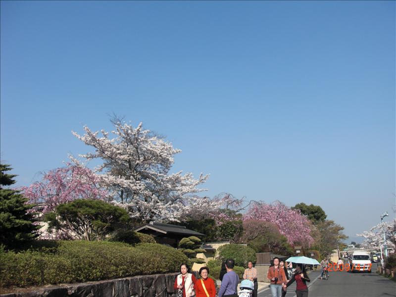 2009.04千年古都賞櫻,2009千年古都賞櫻,DAY4京都嵐山渡月橋,倫敦,國外旅遊,土耳其,大阪,天龍寺庭苑,宜蘭,居酒屋,捷克,旅遊,早午餐,板橋,法國,美食,自由行 @跟著Julie一起走吧 2009.04千年古都賞櫻,2009千年古都賞櫻,DAY4京都嵐山渡月橋,倫敦,國外旅遊,土耳其,大阪,天龍寺庭苑,宜蘭,居酒屋,捷克,旅遊,早午餐,板橋,法國,美食,自由行 @跟著Julie一起走吧