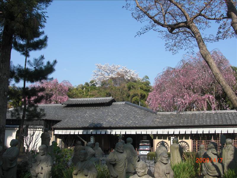 2009.04千年古都賞櫻,2009千年古都賞櫻,DAY4京都嵐山渡月橋,倫敦,國外旅遊,土耳其,大阪,天龍寺庭苑,宜蘭,居酒屋,捷克,旅遊,早午餐,板橋,法國,美食,自由行 @跟著Julie一起走吧 2009.04千年古都賞櫻,2009千年古都賞櫻,DAY4京都嵐山渡月橋,倫敦,國外旅遊,土耳其,大阪,天龍寺庭苑,宜蘭,居酒屋,捷克,旅遊,早午餐,板橋,法國,美食,自由行 @跟著Julie一起走吧