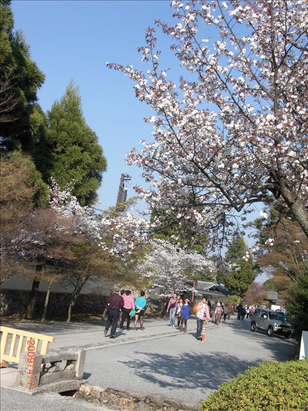 2009.04千年古都賞櫻,2009千年古都賞櫻,DAY4京都嵐山渡月橋,倫敦,國外旅遊,土耳其,大阪,天龍寺庭苑,宜蘭,居酒屋,捷克,旅遊,早午餐,板橋,法國,美食,自由行 @跟著Julie一起走吧 2009.04千年古都賞櫻,2009千年古都賞櫻,DAY4京都嵐山渡月橋,倫敦,國外旅遊,土耳其,大阪,天龍寺庭苑,宜蘭,居酒屋,捷克,旅遊,早午餐,板橋,法國,美食,自由行 @跟著Julie一起走吧