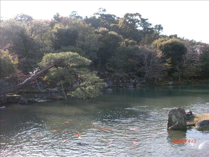 2009.04千年古都賞櫻,2009千年古都賞櫻,DAY4京都嵐山渡月橋,倫敦,國外旅遊,土耳其,大阪,天龍寺庭苑,宜蘭,居酒屋,捷克,旅遊,早午餐,板橋,法國,美食,自由行 @跟著Julie一起走吧 2009.04千年古都賞櫻,2009千年古都賞櫻,DAY4京都嵐山渡月橋,倫敦,國外旅遊,土耳其,大阪,天龍寺庭苑,宜蘭,居酒屋,捷克,旅遊,早午餐,板橋,法國,美食,自由行 @跟著Julie一起走吧