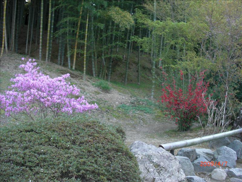 2009.04千年古都賞櫻,2009千年古都賞櫻,DAY4京都嵐山渡月橋,倫敦,國外旅遊,土耳其,大阪,天龍寺庭苑,宜蘭,居酒屋,捷克,旅遊,早午餐,板橋,法國,美食,自由行 @跟著Julie一起走吧 2009.04千年古都賞櫻,2009千年古都賞櫻,DAY4京都嵐山渡月橋,倫敦,國外旅遊,土耳其,大阪,天龍寺庭苑,宜蘭,居酒屋,捷克,旅遊,早午餐,板橋,法國,美食,自由行 @跟著Julie一起走吧