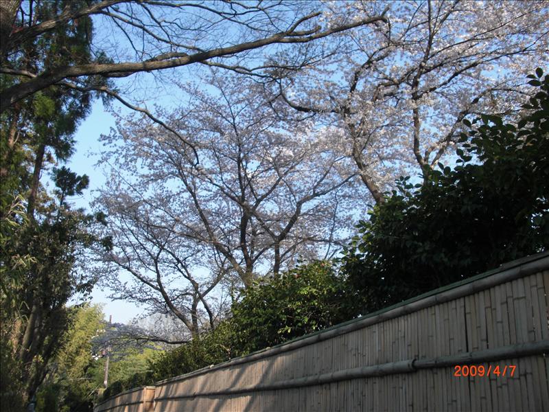 2009.04千年古都賞櫻,2009千年古都賞櫻,DAY4京都嵐山渡月橋,倫敦,國外旅遊,土耳其,大阪,天龍寺庭苑,宜蘭,居酒屋,捷克,旅遊,早午餐,板橋,法國,美食,自由行 @跟著Julie一起走吧 2009.04千年古都賞櫻,2009千年古都賞櫻,DAY4京都嵐山渡月橋,倫敦,國外旅遊,土耳其,大阪,天龍寺庭苑,宜蘭,居酒屋,捷克,旅遊,早午餐,板橋,法國,美食,自由行 @跟著Julie一起走吧