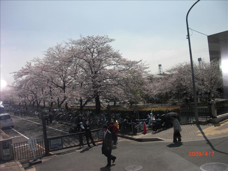 2009.04千年古都賞櫻,2009千年古都賞櫻,DAY4京都湯豆腐午餐,倫敦,國外旅遊,土耳其,大阪,宜蘭,居酒屋,平安神宮內苑,平安神宮美食,捷克,旅遊,早午餐,板橋,法國,美食,自由行 @跟著Julie一起走吧 2009.04千年古都賞櫻,2009千年古都賞櫻,DAY4京都湯豆腐午餐,倫敦,國外旅遊,土耳其,大阪,宜蘭,居酒屋,平安神宮內苑,平安神宮美食,捷克,旅遊,早午餐,板橋,法國,美食,自由行 @跟著Julie一起走吧