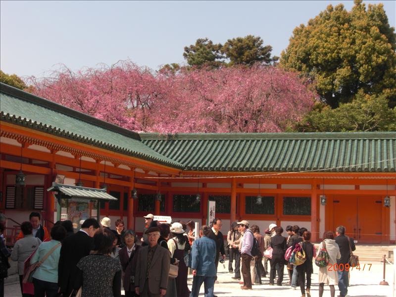 2009.04千年古都賞櫻,2009千年古都賞櫻,DAY4京都湯豆腐午餐,倫敦,國外旅遊,土耳其,大阪,宜蘭,居酒屋,平安神宮內苑,平安神宮美食,捷克,旅遊,早午餐,板橋,法國,美食,自由行 @跟著Julie一起走吧 2009.04千年古都賞櫻,2009千年古都賞櫻,DAY4京都湯豆腐午餐,倫敦,國外旅遊,土耳其,大阪,宜蘭,居酒屋,平安神宮內苑,平安神宮美食,捷克,旅遊,早午餐,板橋,法國,美食,自由行 @跟著Julie一起走吧