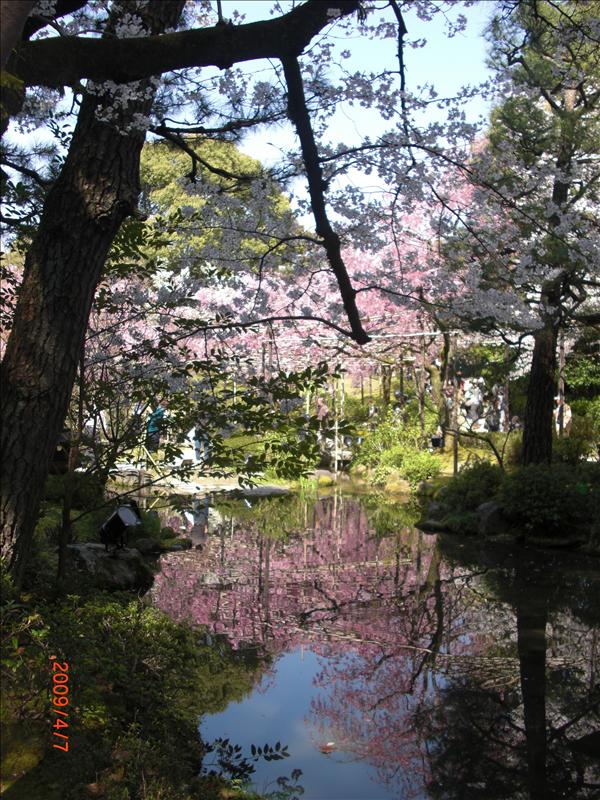 2009.04千年古都賞櫻,2009千年古都賞櫻,DAY4京都湯豆腐午餐,倫敦,國外旅遊,土耳其,大阪,宜蘭,居酒屋,平安神宮內苑,平安神宮美食,捷克,旅遊,早午餐,板橋,法國,美食,自由行 @跟著Julie一起走吧 2009.04千年古都賞櫻,2009千年古都賞櫻,DAY4京都湯豆腐午餐,倫敦,國外旅遊,土耳其,大阪,宜蘭,居酒屋,平安神宮內苑,平安神宮美食,捷克,旅遊,早午餐,板橋,法國,美食,自由行 @跟著Julie一起走吧