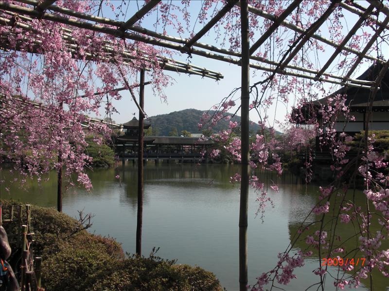 2009.04千年古都賞櫻,2009千年古都賞櫻,DAY4京都湯豆腐午餐,倫敦,國外旅遊,土耳其,大阪,宜蘭,居酒屋,平安神宮內苑,平安神宮美食,捷克,旅遊,早午餐,板橋,法國,美食,自由行 @跟著Julie一起走吧 2009.04千年古都賞櫻,2009千年古都賞櫻,DAY4京都湯豆腐午餐,倫敦,國外旅遊,土耳其,大阪,宜蘭,居酒屋,平安神宮內苑,平安神宮美食,捷克,旅遊,早午餐,板橋,法國,美食,自由行 @跟著Julie一起走吧