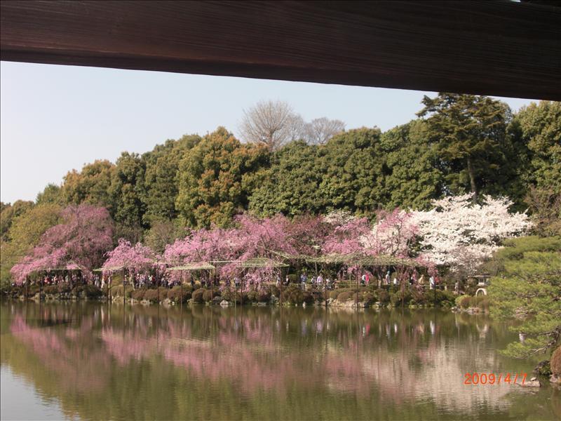 2009.04千年古都賞櫻,2009千年古都賞櫻,DAY4京都湯豆腐午餐,倫敦,國外旅遊,土耳其,大阪,宜蘭,居酒屋,平安神宮內苑,平安神宮美食,捷克,旅遊,早午餐,板橋,法國,美食,自由行 @跟著Julie一起走吧 2009.04千年古都賞櫻,2009千年古都賞櫻,DAY4京都湯豆腐午餐,倫敦,國外旅遊,土耳其,大阪,宜蘭,居酒屋,平安神宮內苑,平安神宮美食,捷克,旅遊,早午餐,板橋,法國,美食,自由行 @跟著Julie一起走吧