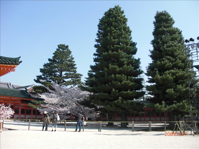 2009.04千年古都賞櫻,2009千年古都賞櫻,DAY4京都湯豆腐午餐,倫敦,國外旅遊,土耳其,大阪,宜蘭,居酒屋,平安神宮內苑,平安神宮美食,捷克,旅遊,早午餐,板橋,法國,美食,自由行 @跟著Julie一起走吧 2009.04千年古都賞櫻,2009千年古都賞櫻,DAY4京都湯豆腐午餐,倫敦,國外旅遊,土耳其,大阪,宜蘭,居酒屋,平安神宮內苑,平安神宮美食,捷克,旅遊,早午餐,板橋,法國,美食,自由行 @跟著Julie一起走吧