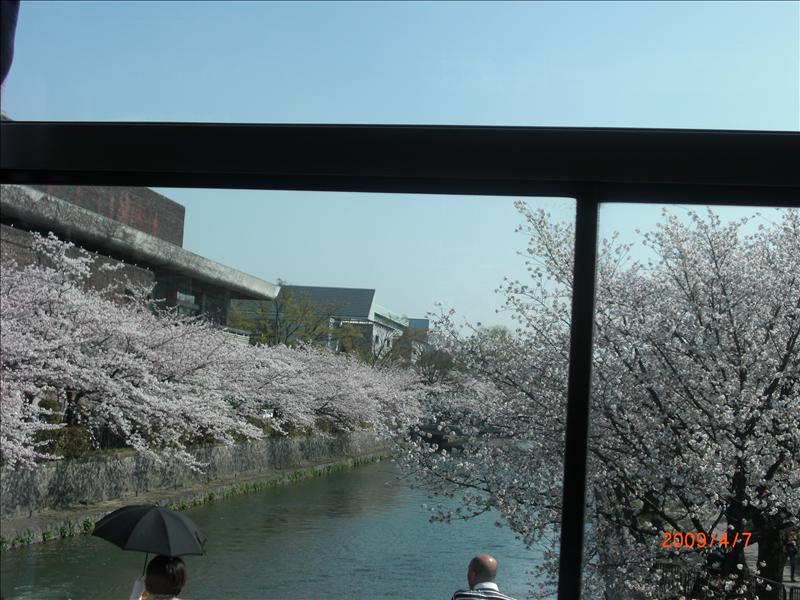 2009.04千年古都賞櫻,2009千年古都賞櫻,DAY4京都湯豆腐午餐,倫敦,國外旅遊,土耳其,大阪,宜蘭,居酒屋,平安神宮內苑,平安神宮美食,捷克,旅遊,早午餐,板橋,法國,美食,自由行 @跟著Julie一起走吧 2009.04千年古都賞櫻,2009千年古都賞櫻,DAY4京都湯豆腐午餐,倫敦,國外旅遊,土耳其,大阪,宜蘭,居酒屋,平安神宮內苑,平安神宮美食,捷克,旅遊,早午餐,板橋,法國,美食,自由行 @跟著Julie一起走吧