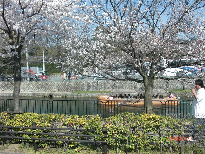 2009.04千年古都賞櫻,2009千年古都賞櫻,DAY4京都湯豆腐午餐,倫敦,國外旅遊,土耳其,大阪,宜蘭,居酒屋,平安神宮內苑,平安神宮美食,捷克,旅遊,早午餐,板橋,法國,美食,自由行 @跟著Julie一起走吧 2009.04千年古都賞櫻,2009千年古都賞櫻,DAY4京都湯豆腐午餐,倫敦,國外旅遊,土耳其,大阪,宜蘭,居酒屋,平安神宮內苑,平安神宮美食,捷克,旅遊,早午餐,板橋,法國,美食,自由行 @跟著Julie一起走吧