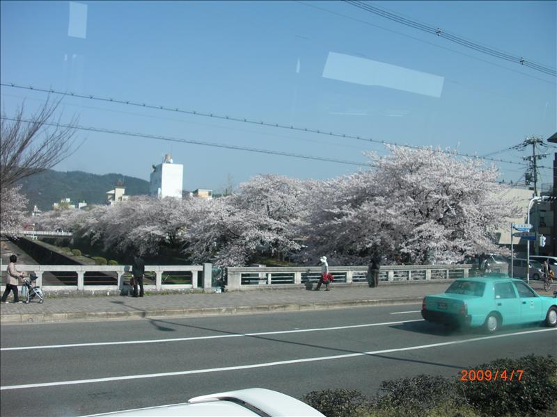 2009.04千年古都賞櫻,2009千年古都賞櫻,DAY4京都湯豆腐午餐,倫敦,國外旅遊,土耳其,大阪,宜蘭,居酒屋,平安神宮內苑,平安神宮美食,捷克,旅遊,早午餐,板橋,法國,美食,自由行 @跟著Julie一起走吧 2009.04千年古都賞櫻,2009千年古都賞櫻,DAY4京都湯豆腐午餐,倫敦,國外旅遊,土耳其,大阪,宜蘭,居酒屋,平安神宮內苑,平安神宮美食,捷克,旅遊,早午餐,板橋,法國,美食,自由行 @跟著Julie一起走吧