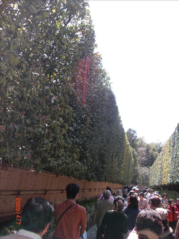 2009.04千年古都賞櫻,2009千年古都賞櫻,DAY4銀閣寺,倫敦,哲學之道,國外旅遊,土耳其,大阪,宜蘭,居酒屋,捷克,旅遊,早午餐,板橋,法國,美食,自由行 @跟著Julie一起走吧 2009.04千年古都賞櫻,2009千年古都賞櫻,DAY4銀閣寺,倫敦,哲學之道,國外旅遊,土耳其,大阪,宜蘭,居酒屋,捷克,旅遊,早午餐,板橋,法國,美食,自由行 @跟著Julie一起走吧