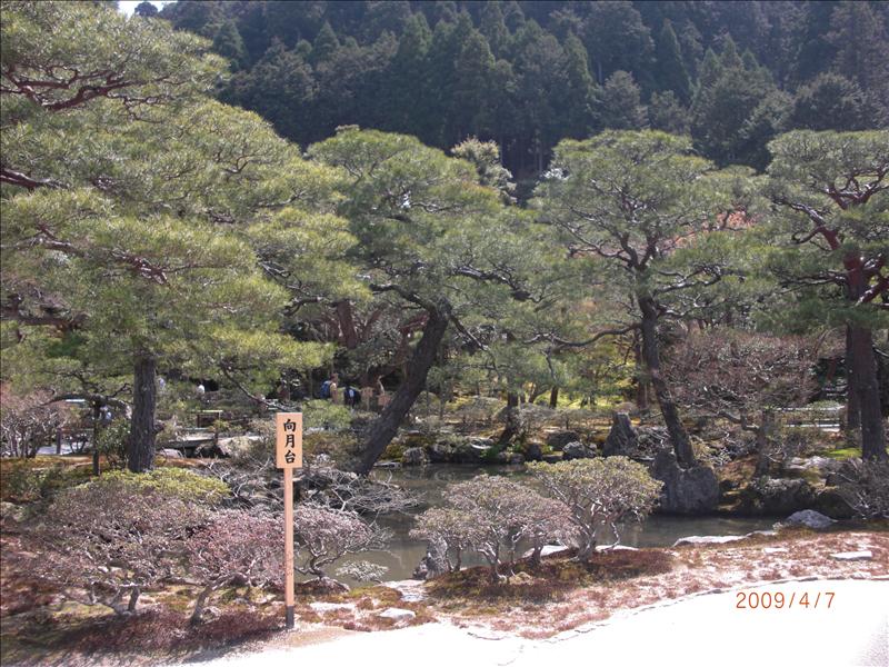 2009.04千年古都賞櫻,2009千年古都賞櫻,DAY4銀閣寺,倫敦,哲學之道,國外旅遊,土耳其,大阪,宜蘭,居酒屋,捷克,旅遊,早午餐,板橋,法國,美食,自由行 @跟著Julie一起走吧 2009.04千年古都賞櫻,2009千年古都賞櫻,DAY4銀閣寺,倫敦,哲學之道,國外旅遊,土耳其,大阪,宜蘭,居酒屋,捷克,旅遊,早午餐,板橋,法國,美食,自由行 @跟著Julie一起走吧
