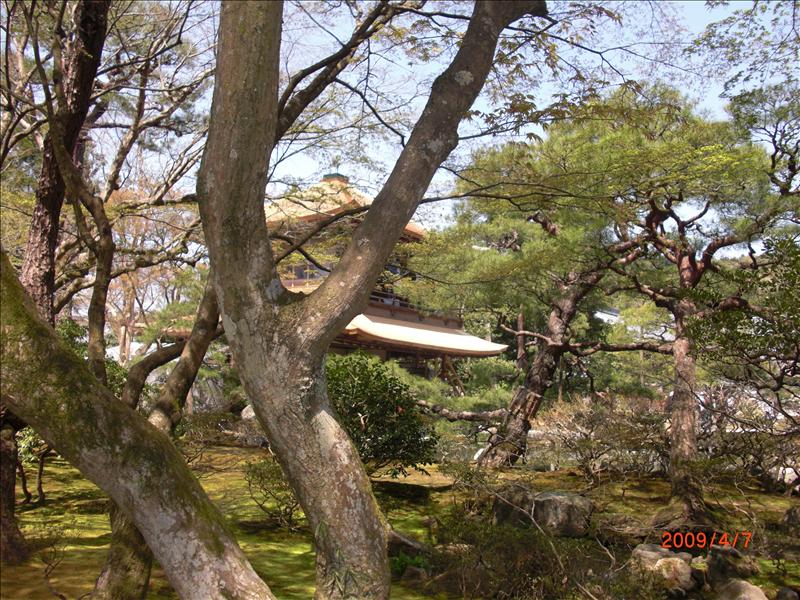 2009.04千年古都賞櫻,2009千年古都賞櫻,DAY4銀閣寺,倫敦,哲學之道,國外旅遊,土耳其,大阪,宜蘭,居酒屋,捷克,旅遊,早午餐,板橋,法國,美食,自由行 @跟著Julie一起走吧 2009.04千年古都賞櫻,2009千年古都賞櫻,DAY4銀閣寺,倫敦,哲學之道,國外旅遊,土耳其,大阪,宜蘭,居酒屋,捷克,旅遊,早午餐,板橋,法國,美食,自由行 @跟著Julie一起走吧