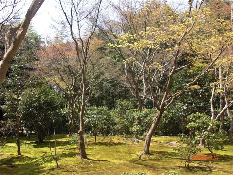 2009.04千年古都賞櫻,2009千年古都賞櫻,DAY4銀閣寺,倫敦,哲學之道,國外旅遊,土耳其,大阪,宜蘭,居酒屋,捷克,旅遊,早午餐,板橋,法國,美食,自由行 @跟著Julie一起走吧 2009.04千年古都賞櫻,2009千年古都賞櫻,DAY4銀閣寺,倫敦,哲學之道,國外旅遊,土耳其,大阪,宜蘭,居酒屋,捷克,旅遊,早午餐,板橋,法國,美食,自由行 @跟著Julie一起走吧